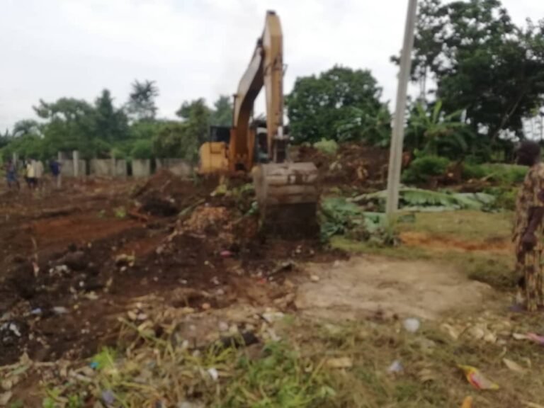 PIX 1(13): CLEARING & LEVELING OF THE SITE.