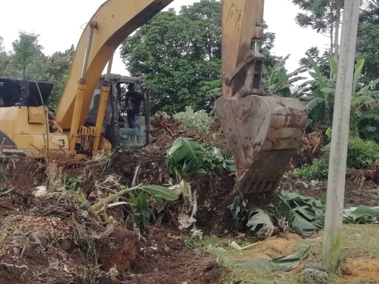 PIX 1(16): CLEARING & LEVELLING OF THE SITE ON GOING.