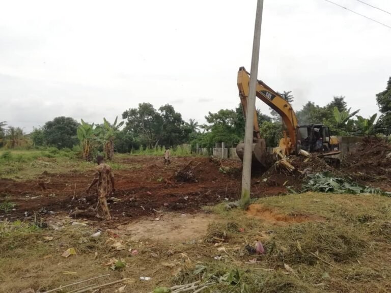 PIX 2(18): BULLDOZING ACTIVITIES