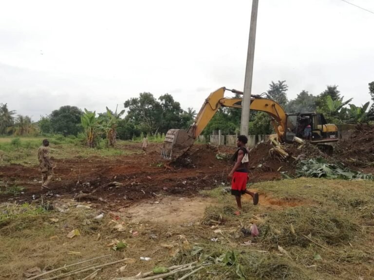 PIX 2(19): BULLDOZING ACTIVITIES AT THE SITE